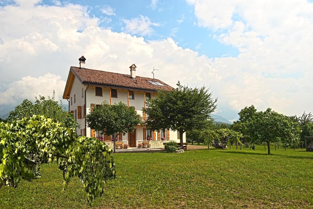 Hotel Lio e Lara Feltre Esterno foto